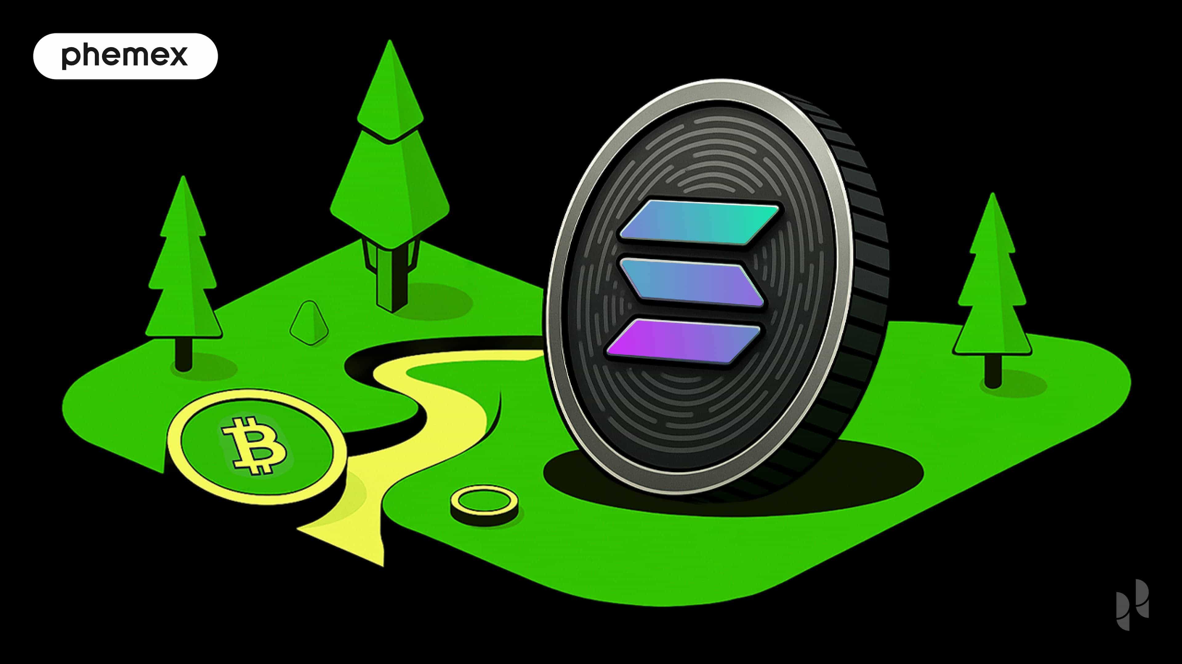 Solana developer ecosystem DeFi integration 2025