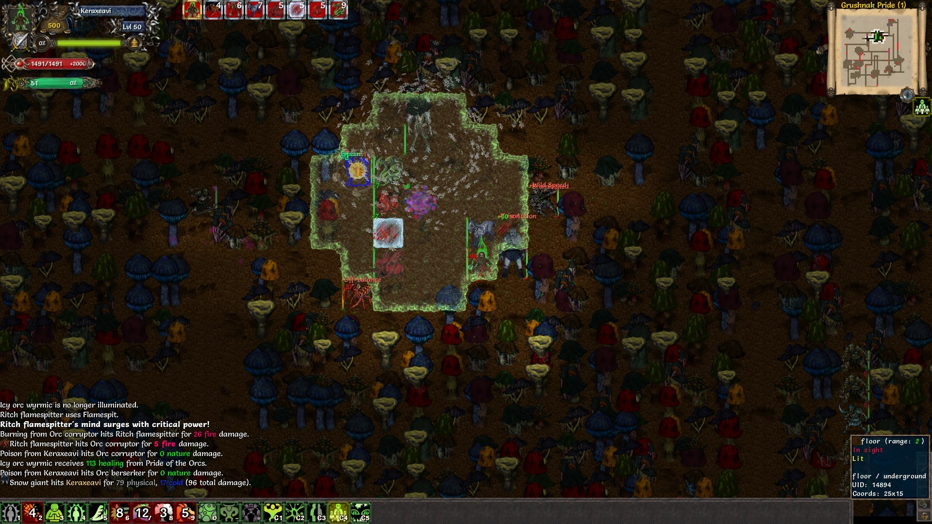 Tales of Maj'Eyal gameplay