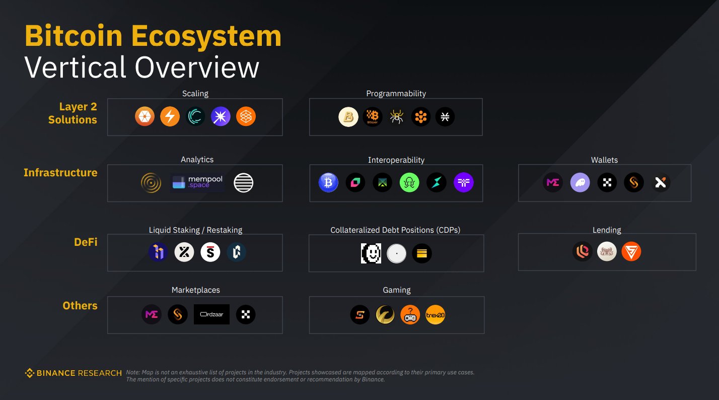 Bitcoin developer ecosystem growth chart