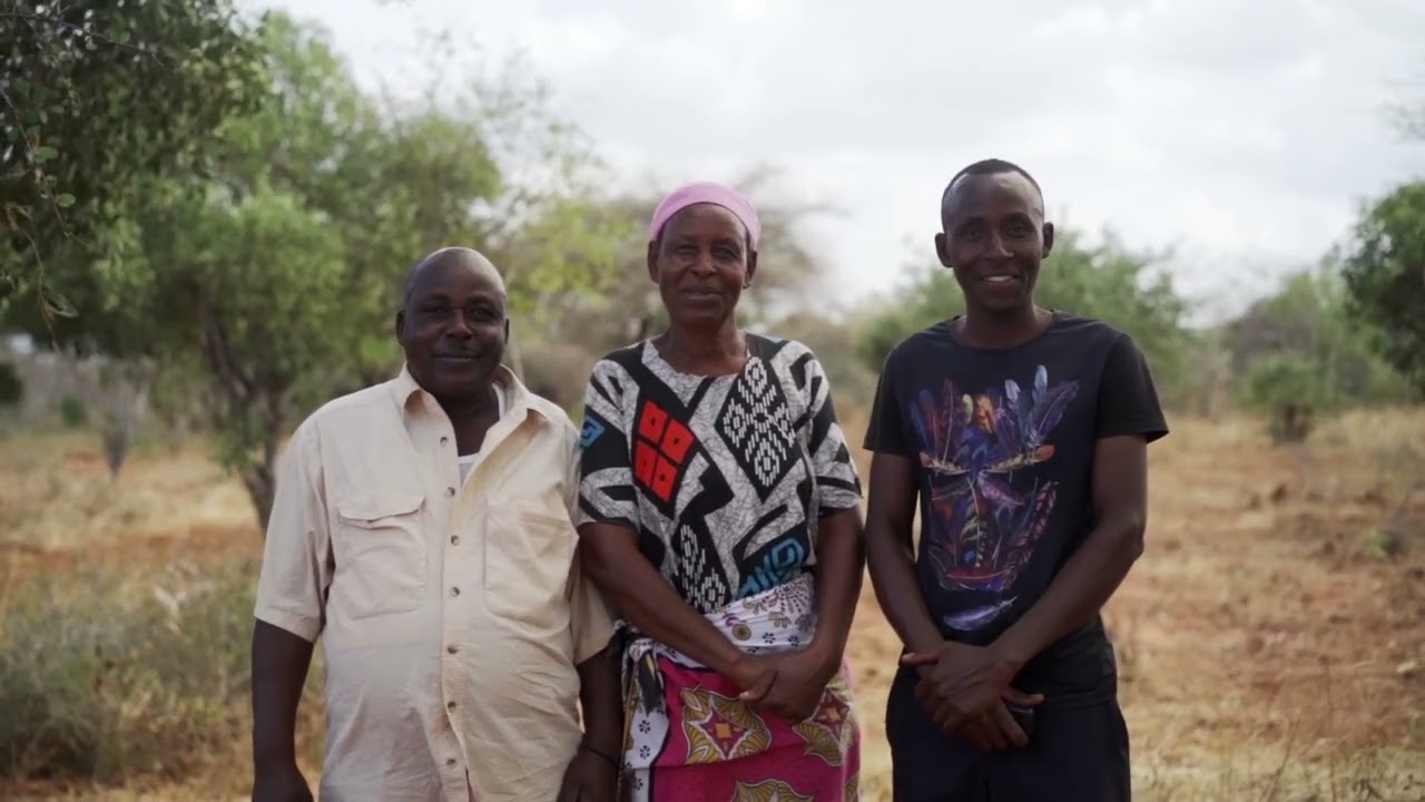 Lemonade blockchain crop insurance claims automation