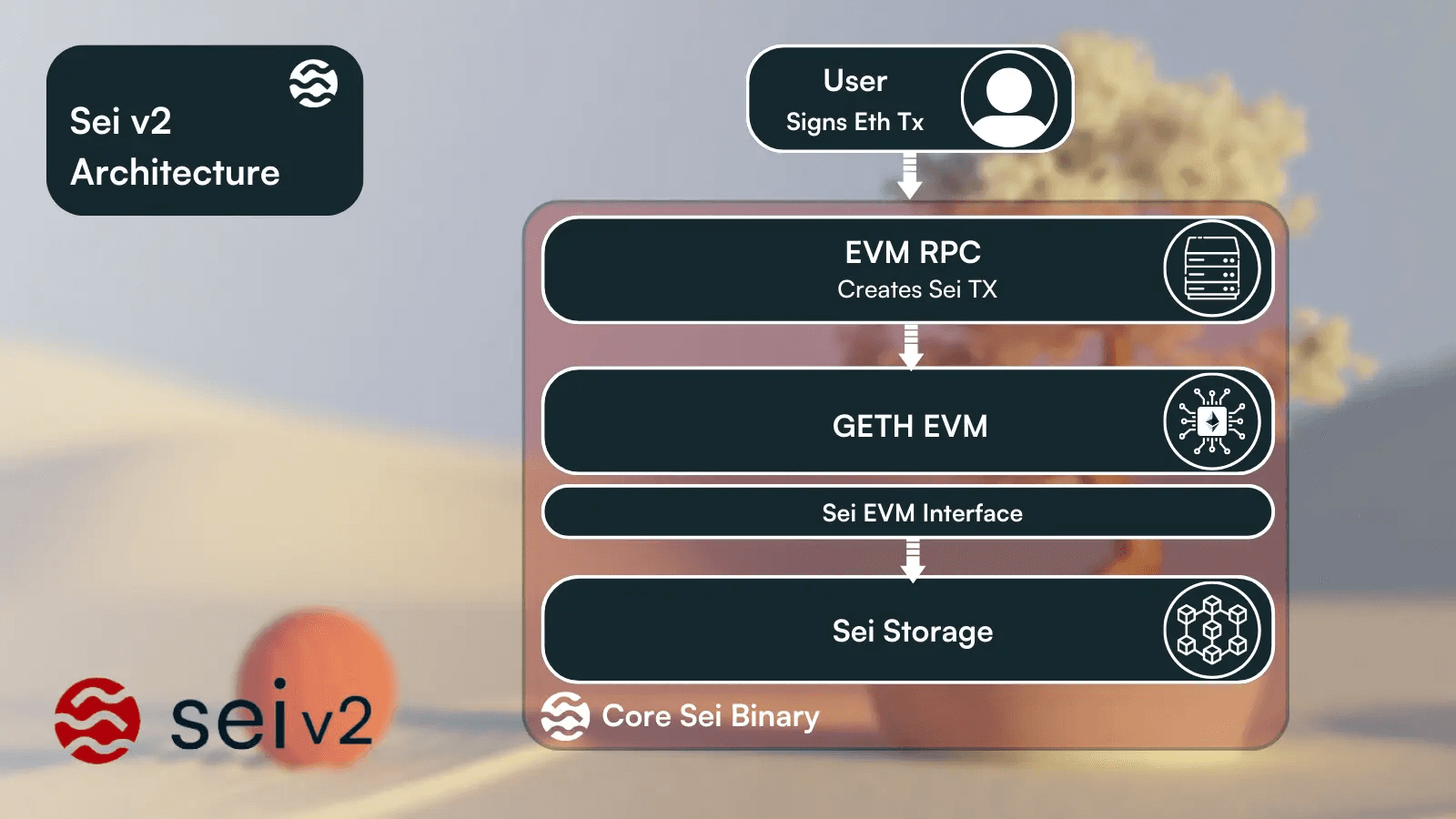 application-specific MEV ordering Sei network