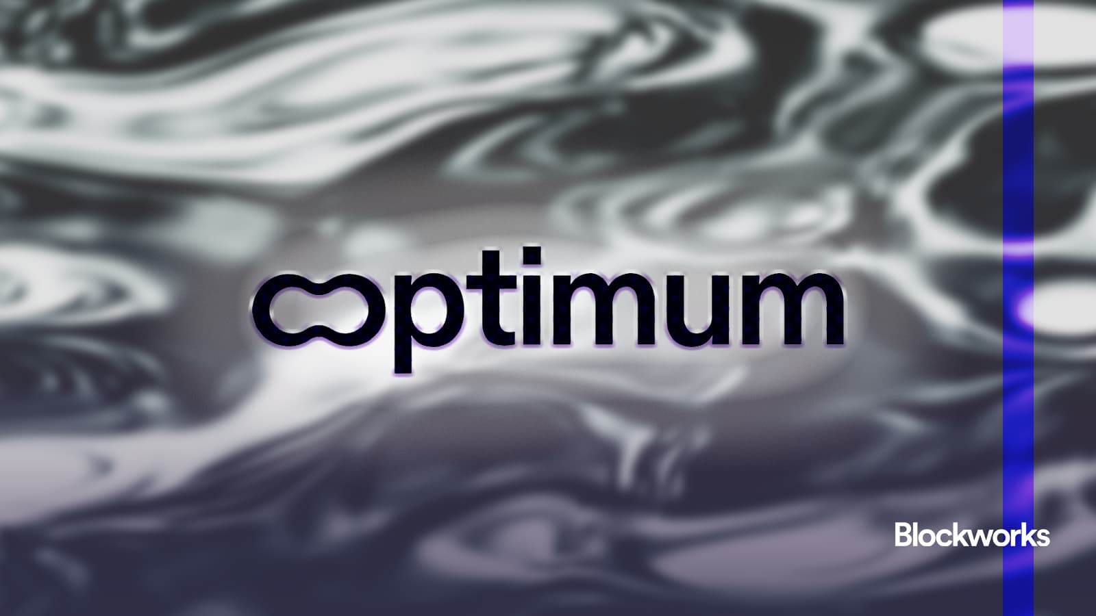 Optimum RLNC blockchain memory layer interface