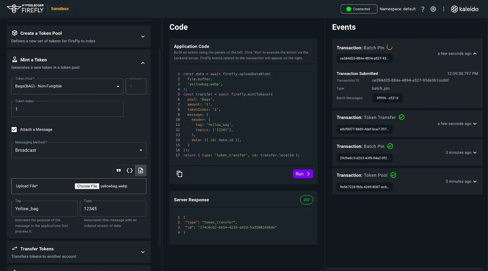 Kaleido appchains customizable blockchain
