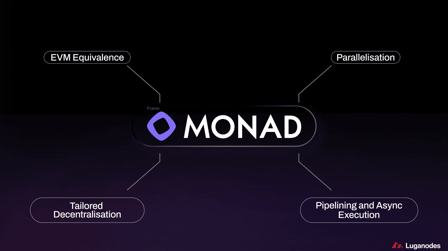 Monad blockchain high throughput infographic