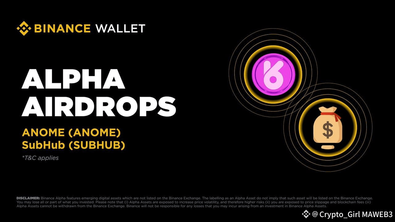 Binance Alpha Risk Pre-check feature screenshot