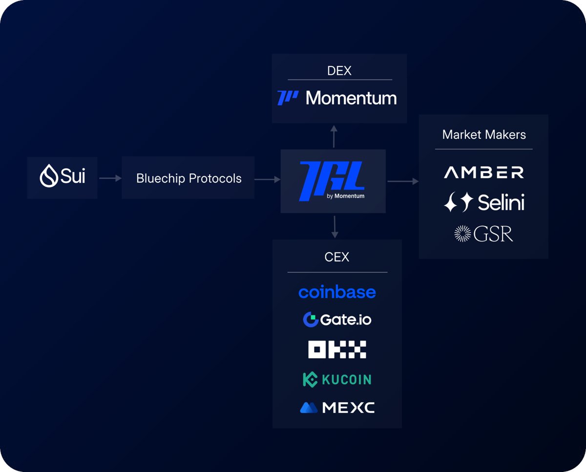 MMTFinance vaults capital efficiency