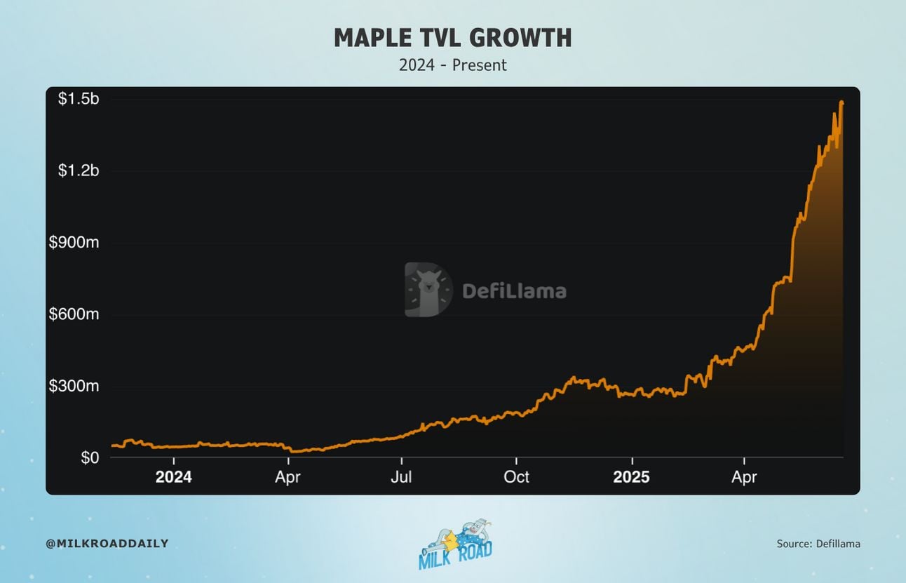 Maple Finance DeFi lending platform dashboard 2024