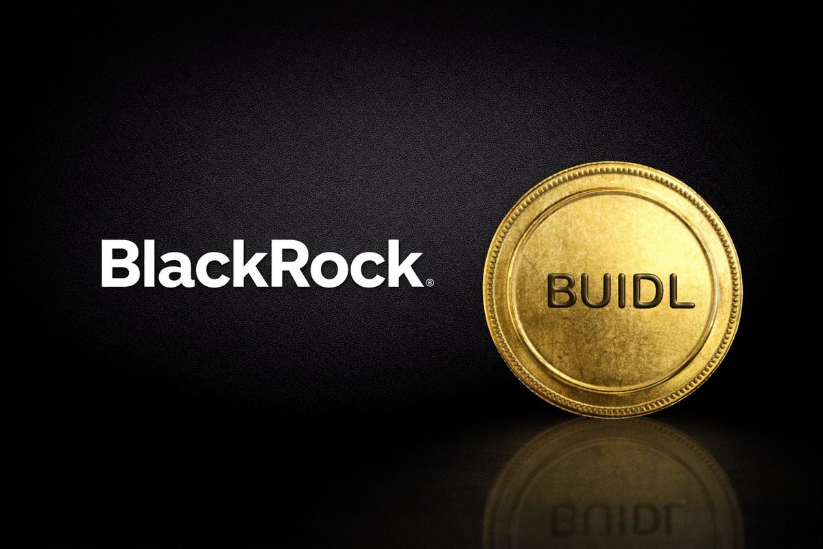 BlackRock BUIDL tokenized US Treasury fund