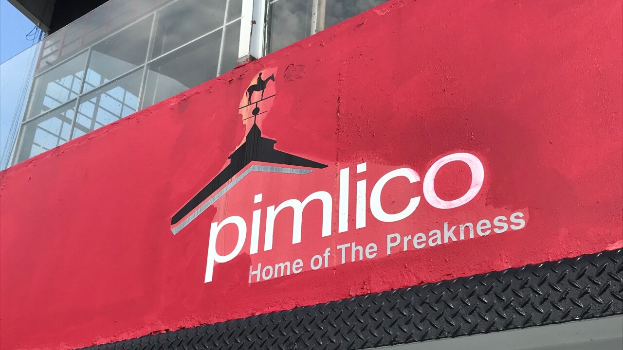 Pimlico logo