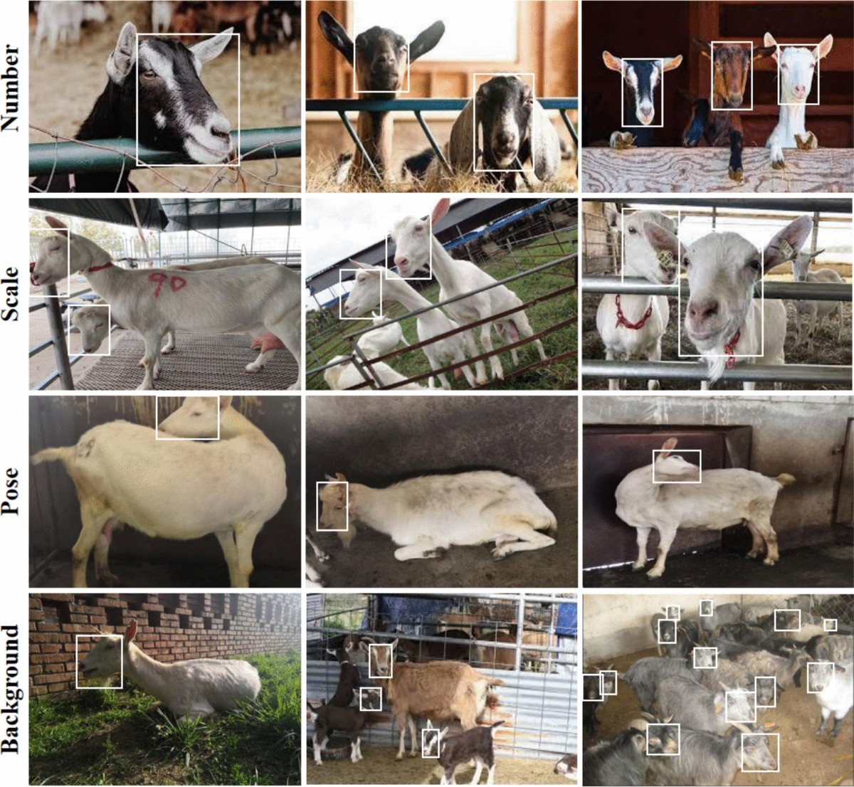 GOAT Network operator rotation illustration