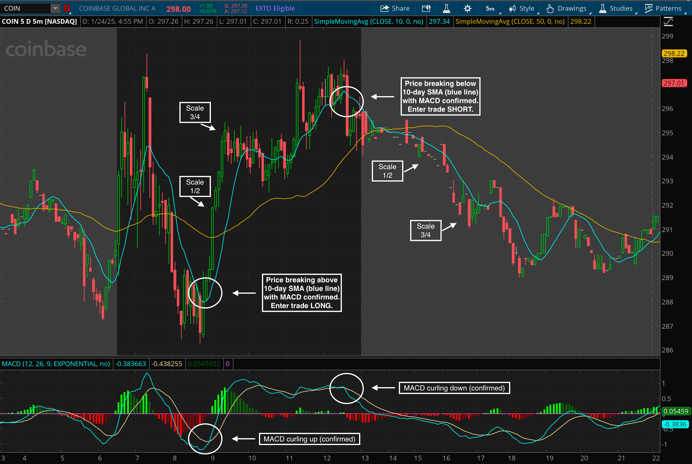crypto trader reviewing trading strategy
