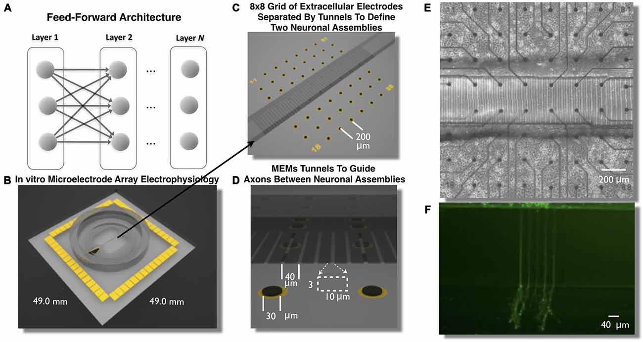 Planck Tunnel cross-chain messaging diagram