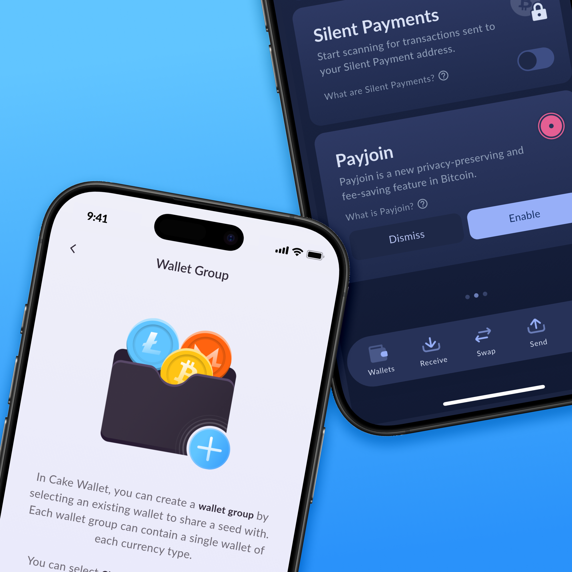 Cake Wallet app on smartphone