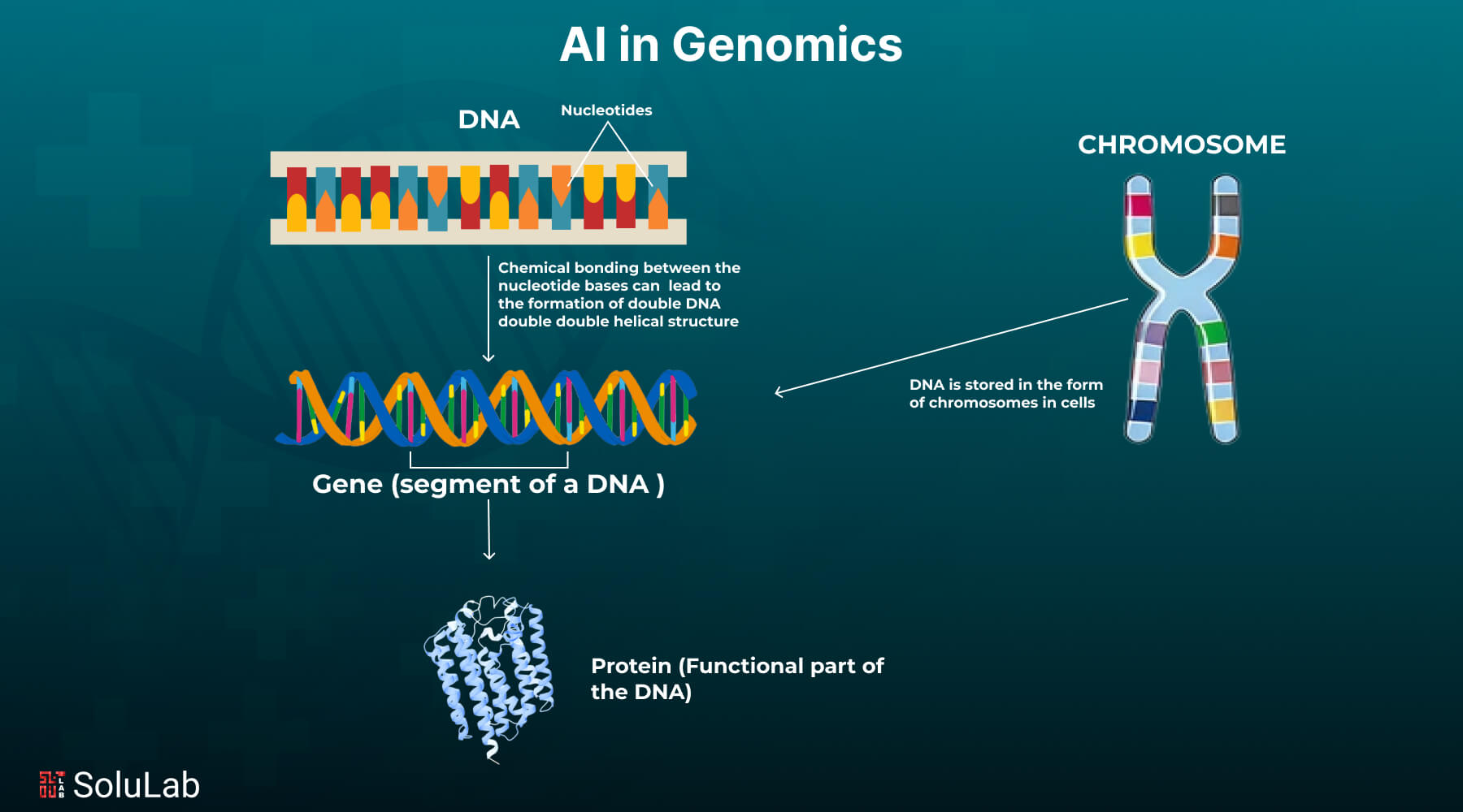 Genome Protocol real-time analytics