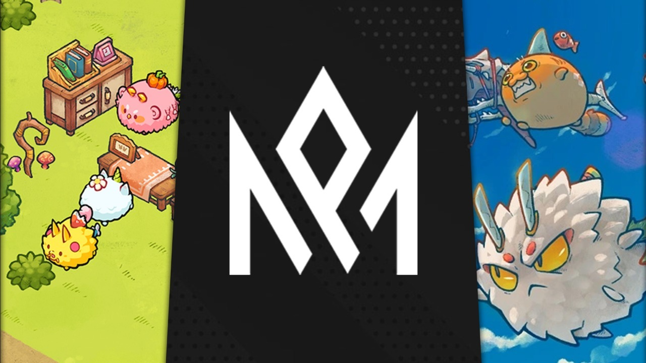 Axie Infinity battle arena NFT