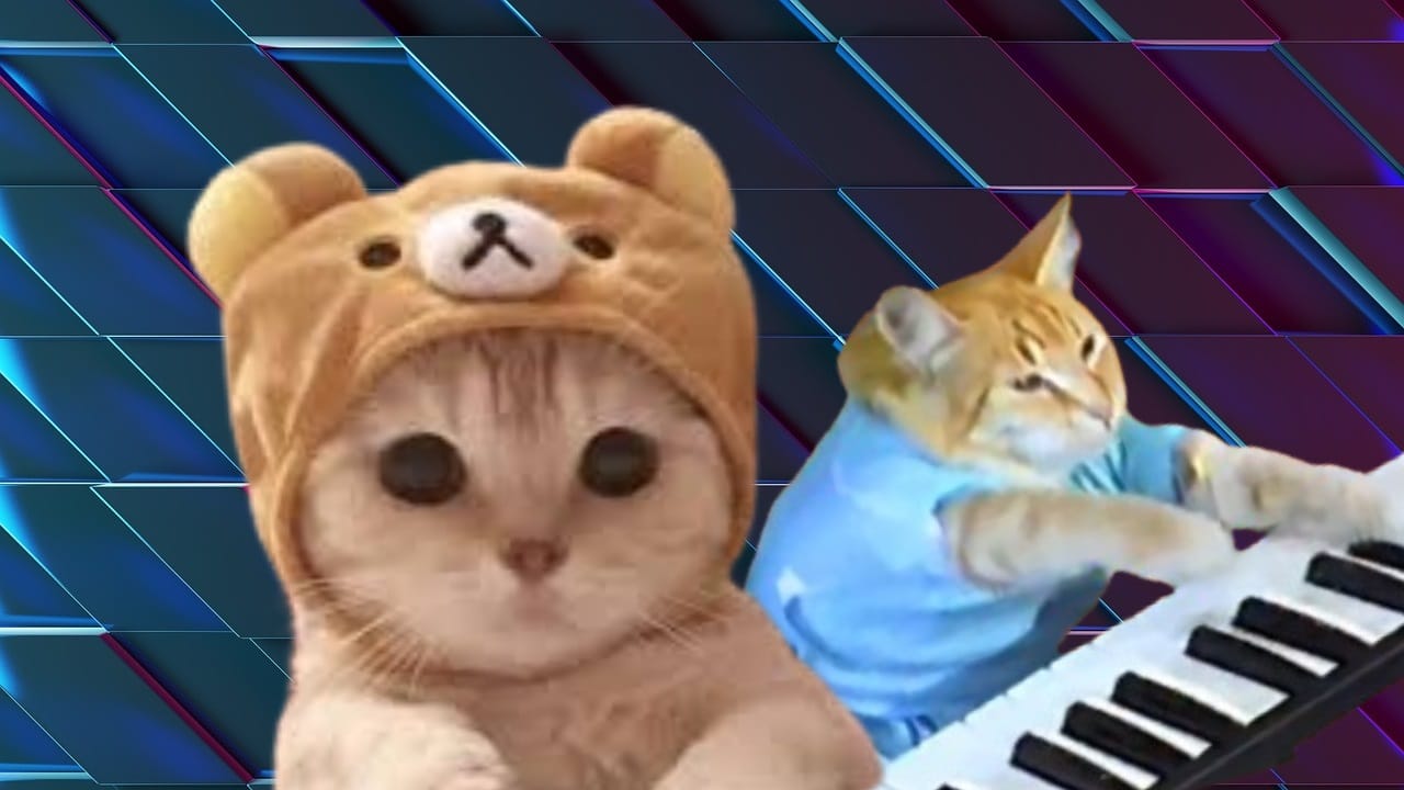 Keycat $KEYCAT Base memecoin logo