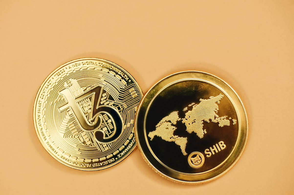 on-chain credit score transparency