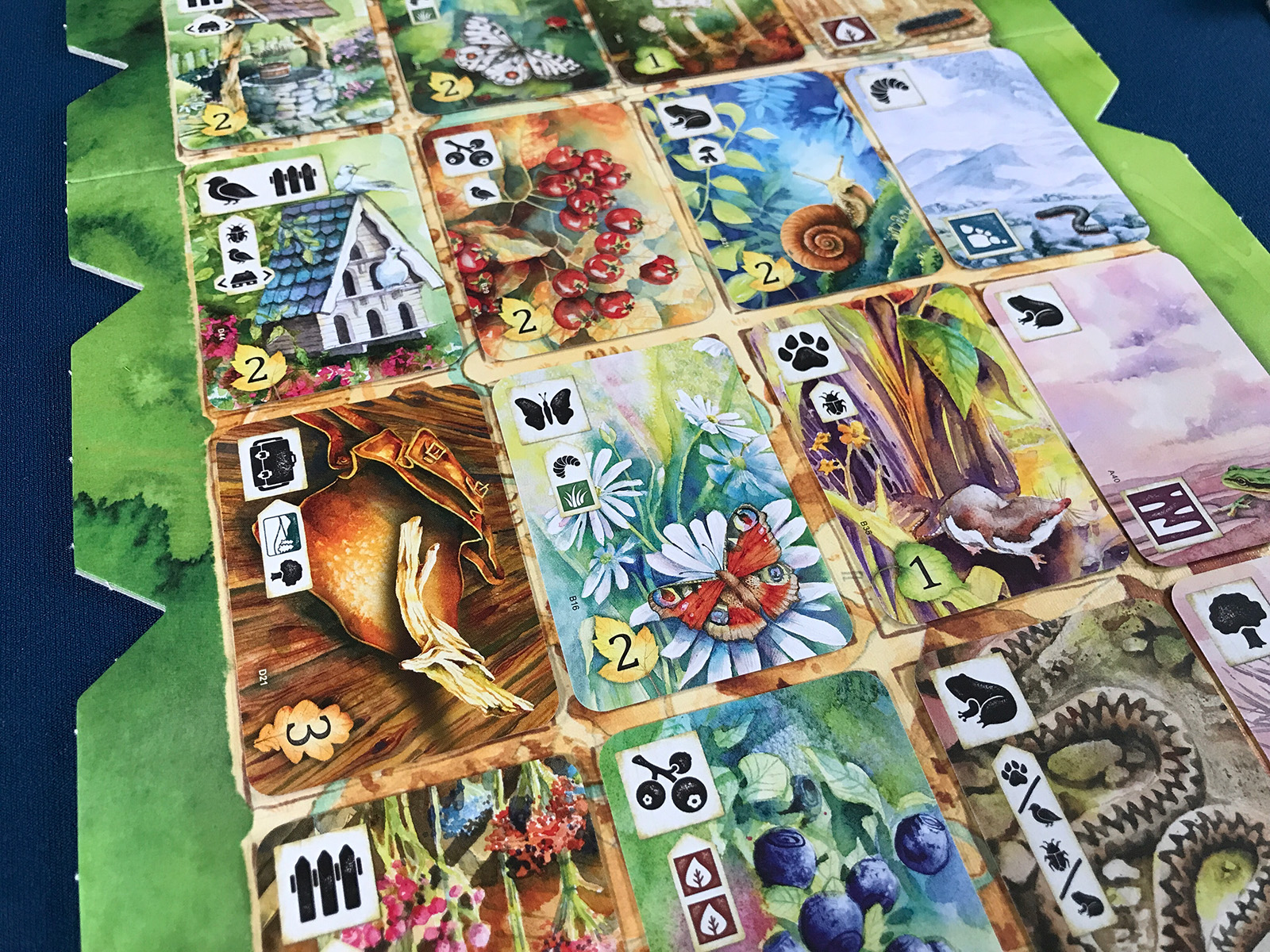 Meadow nature card game art