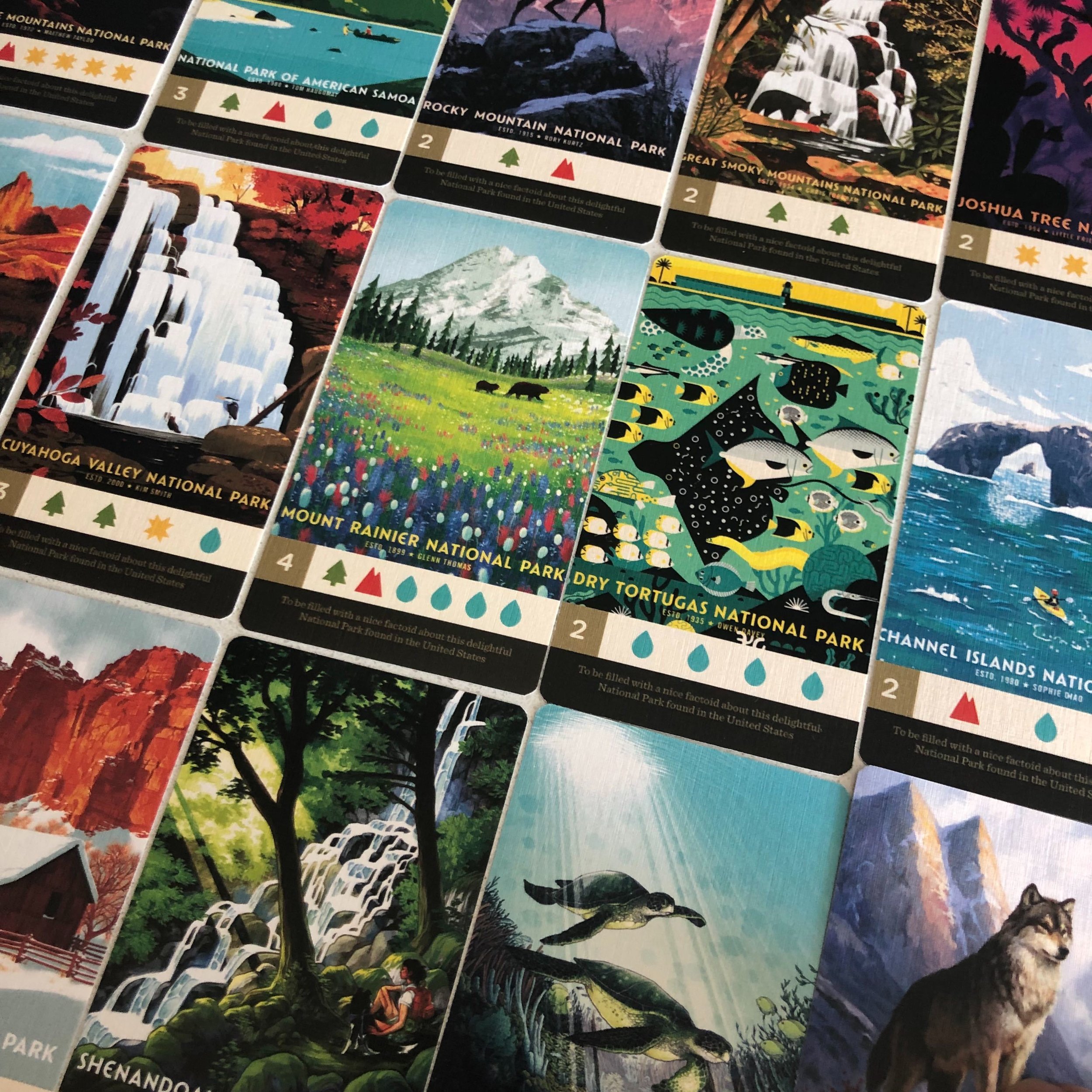 PARKS board game national parks artwork