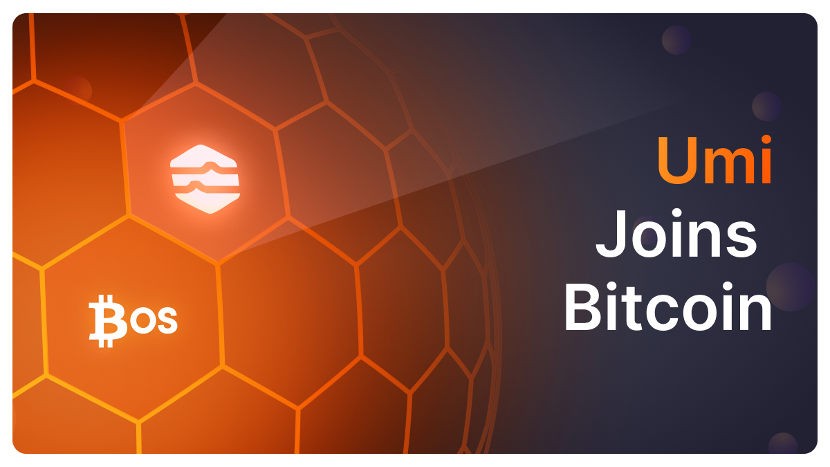 zkBTC rollup scalability chart