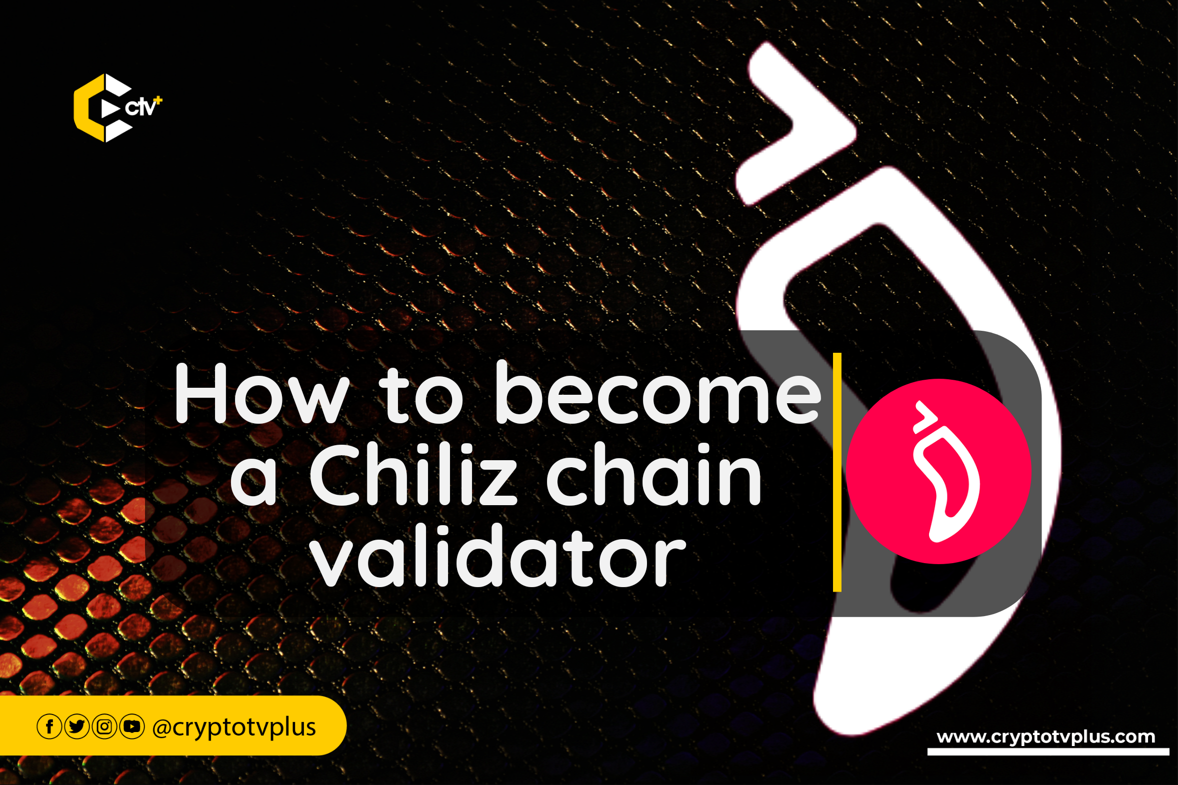 Chiliz Chain 2.0 Proof of Stake Authority