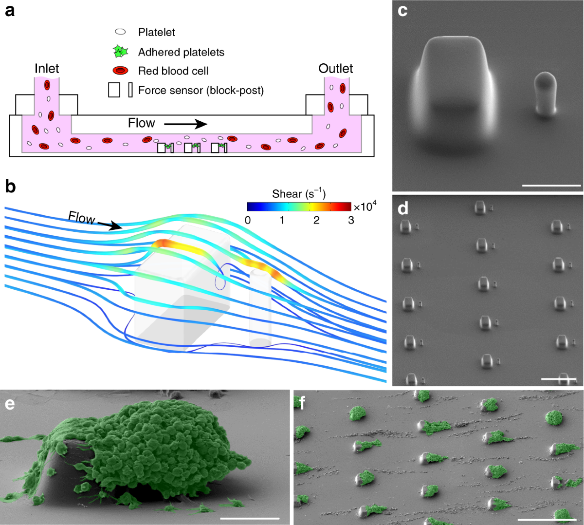 ASAS-BridgeAMM cross-chain bridge diagram