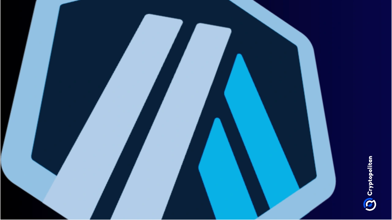 Arbitrum DAO portfolio diversification real world assets