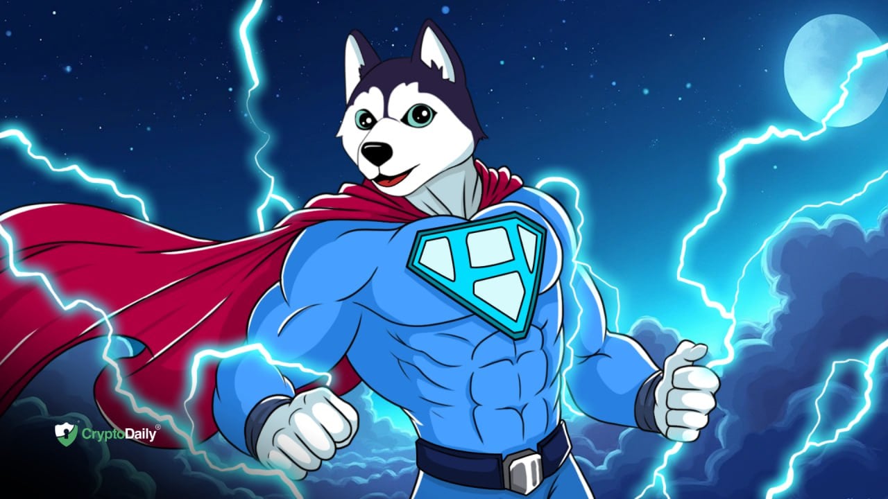 Husky Avax HUSKY Solana meme coin logo