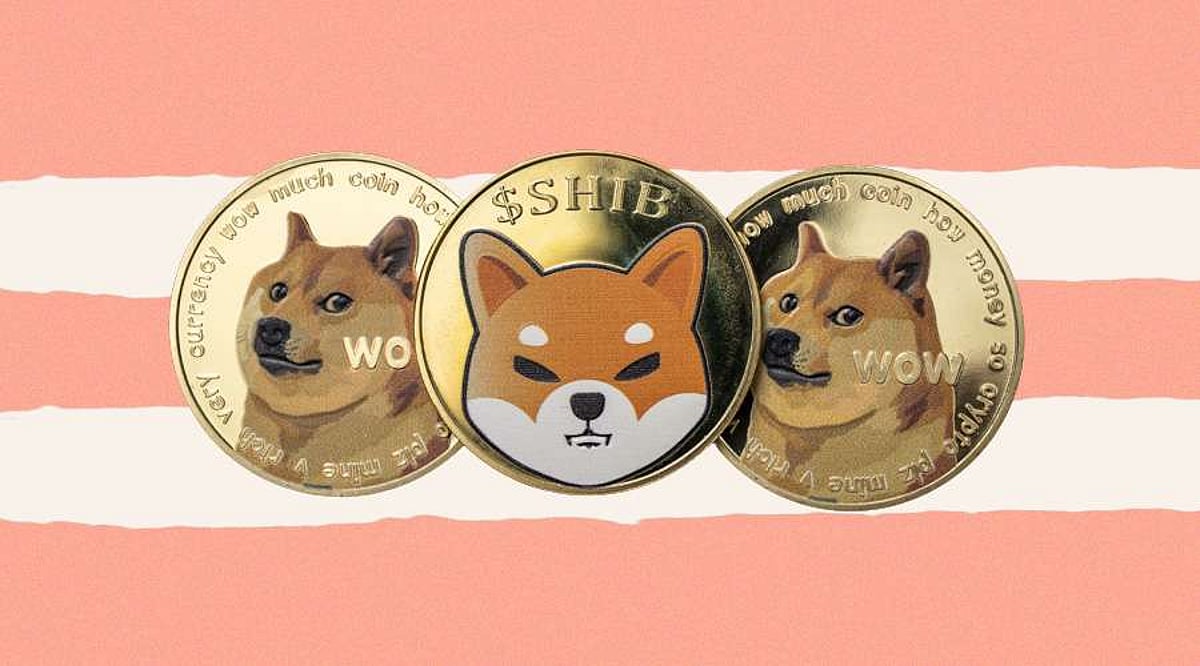 Samoyedcoin SAMO Solana meme coin logo