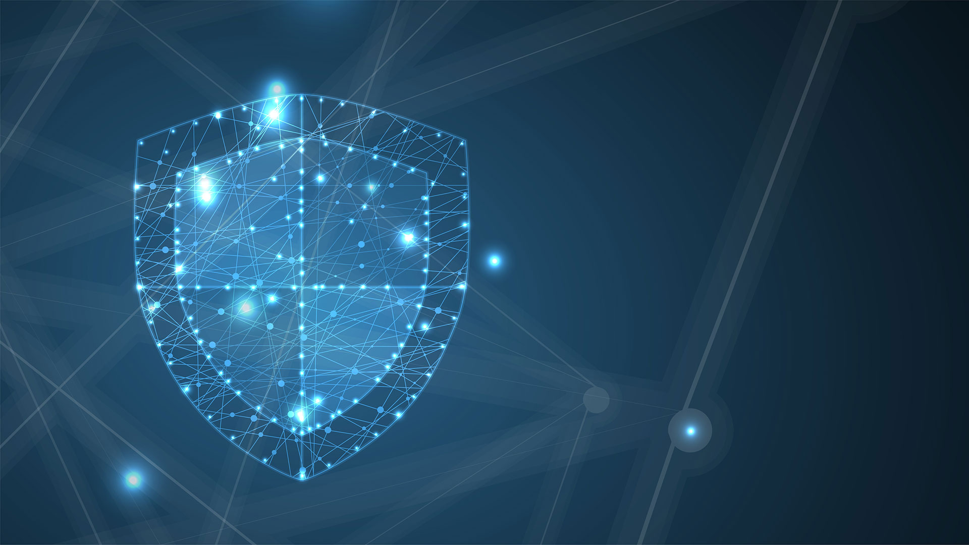 network resilience shield