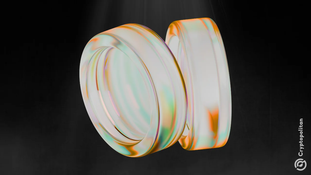 Lighter zk-rollup trading platform