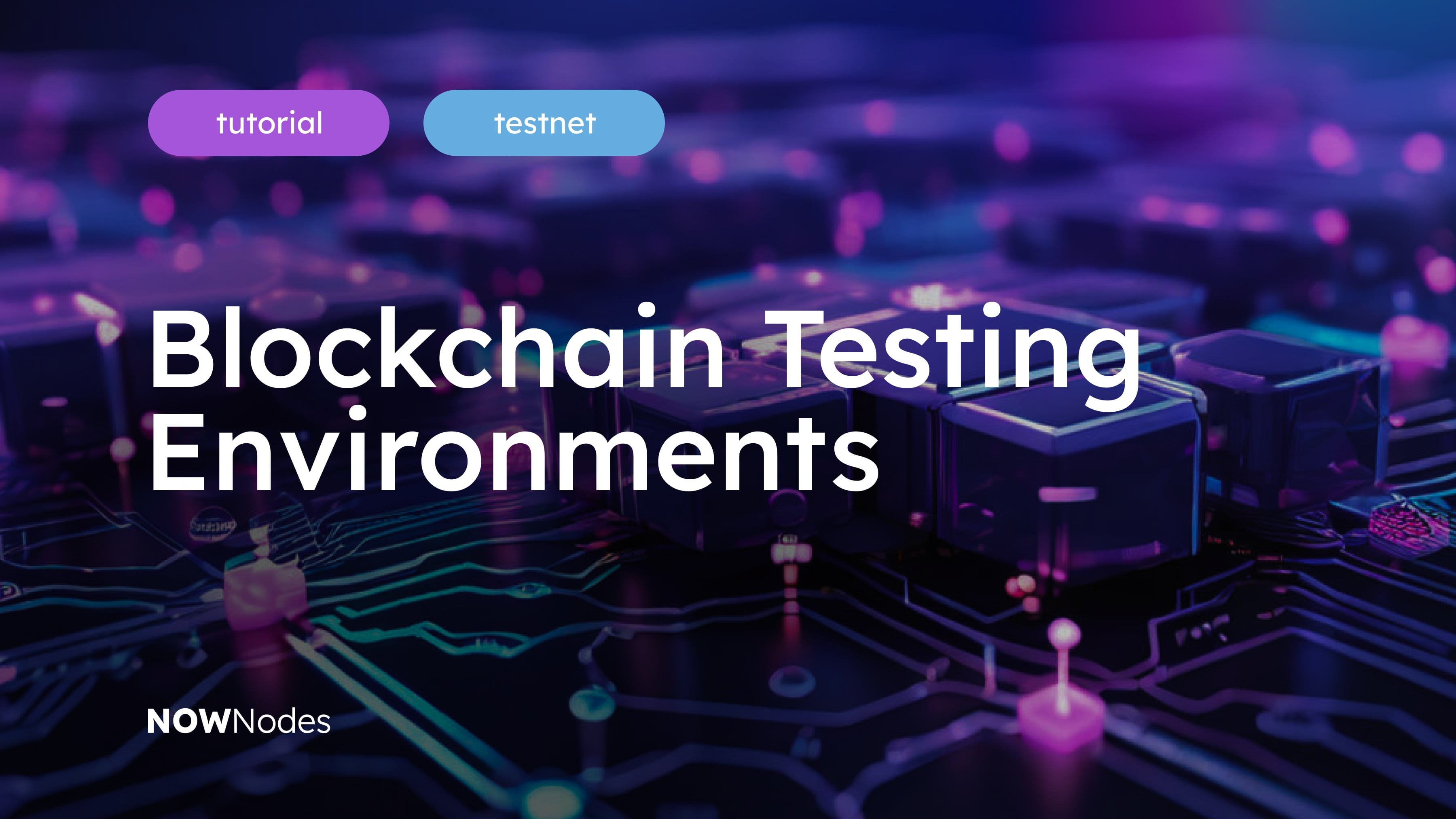 Blockchain testnet deployment and audit process
