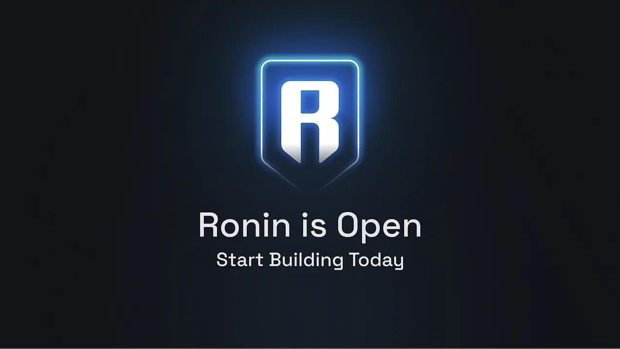 Ronin Network open source developer community