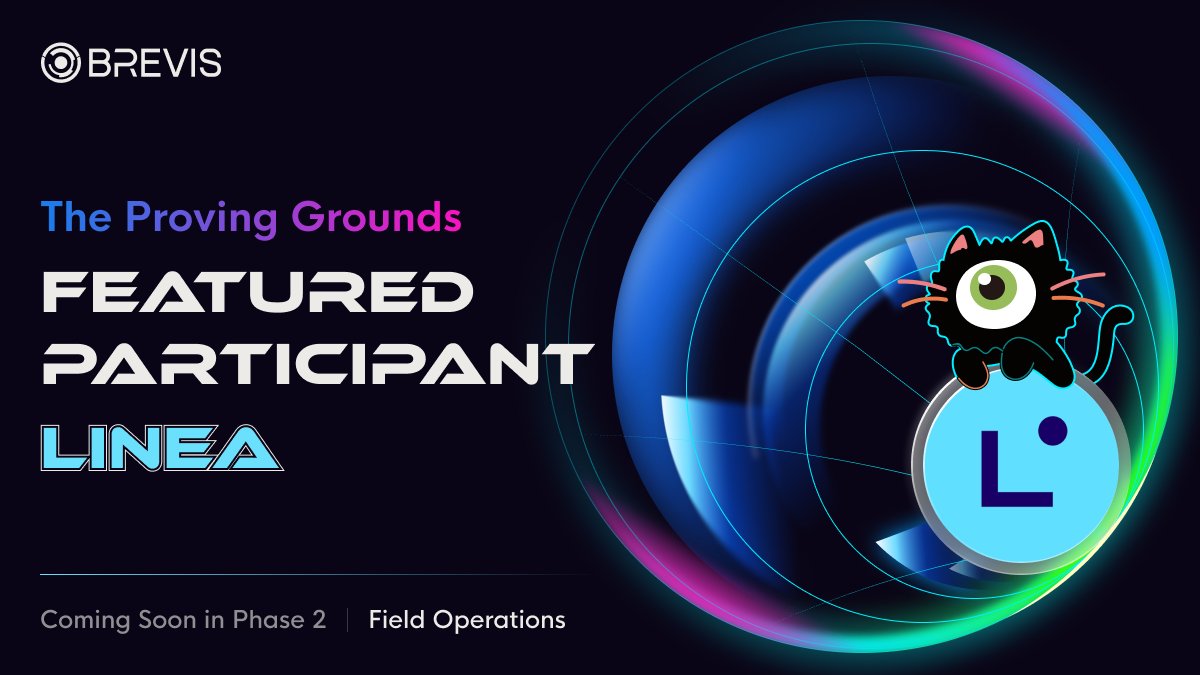 Brevis ProverNet whitepaper