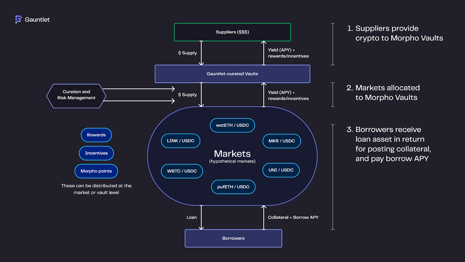 Morpho vaults risk management diagram