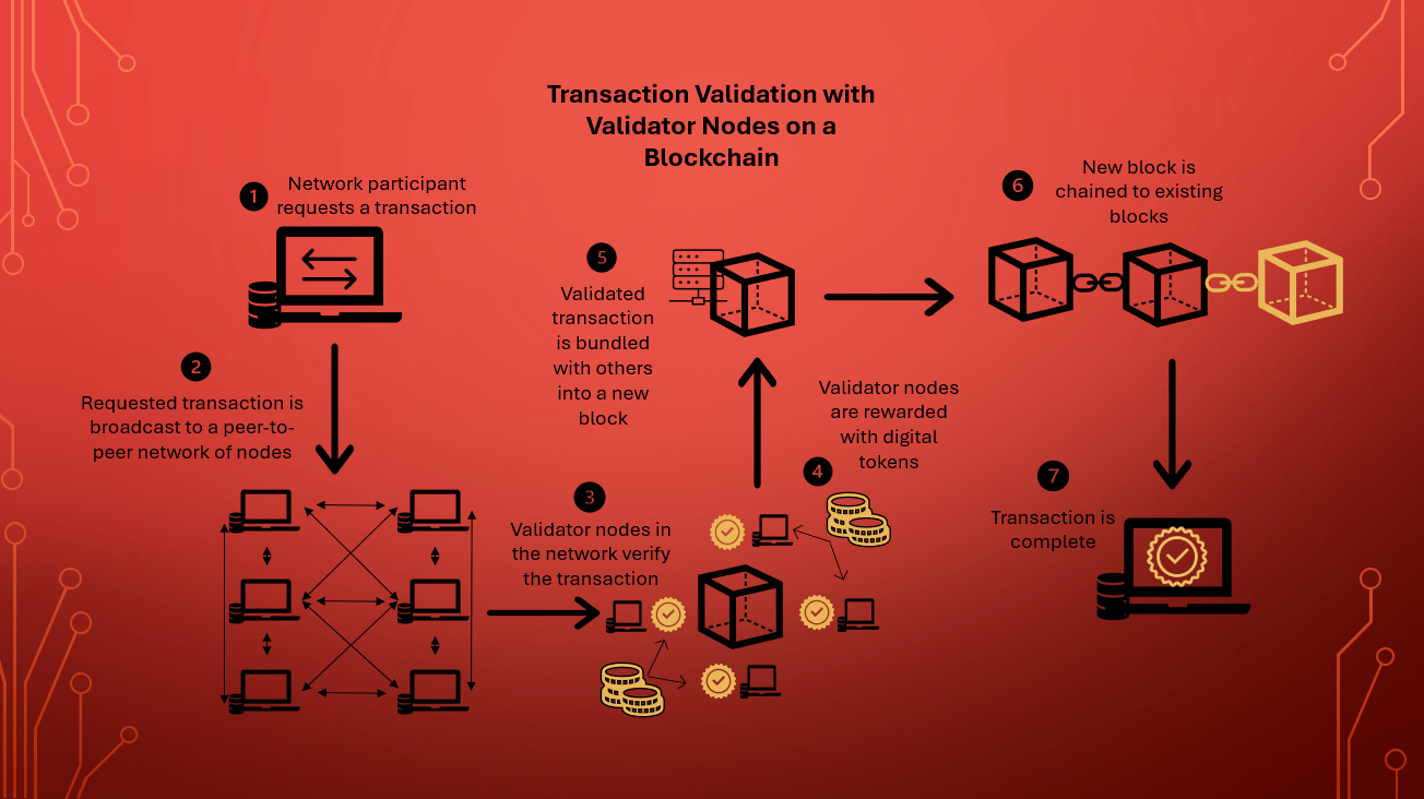 Blockchain validator network