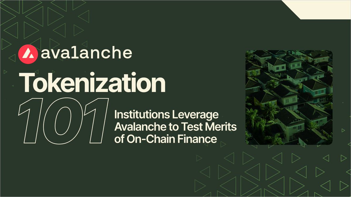 Citi Avalanche subnet tokenization