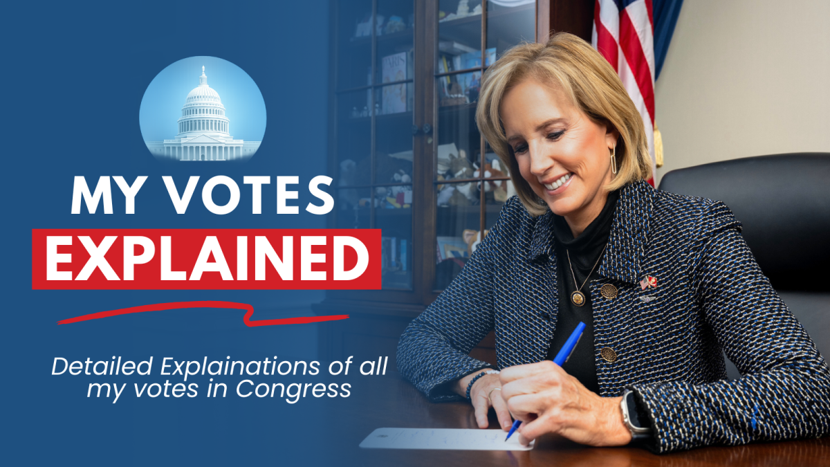 World ID one-person-one-vote governance