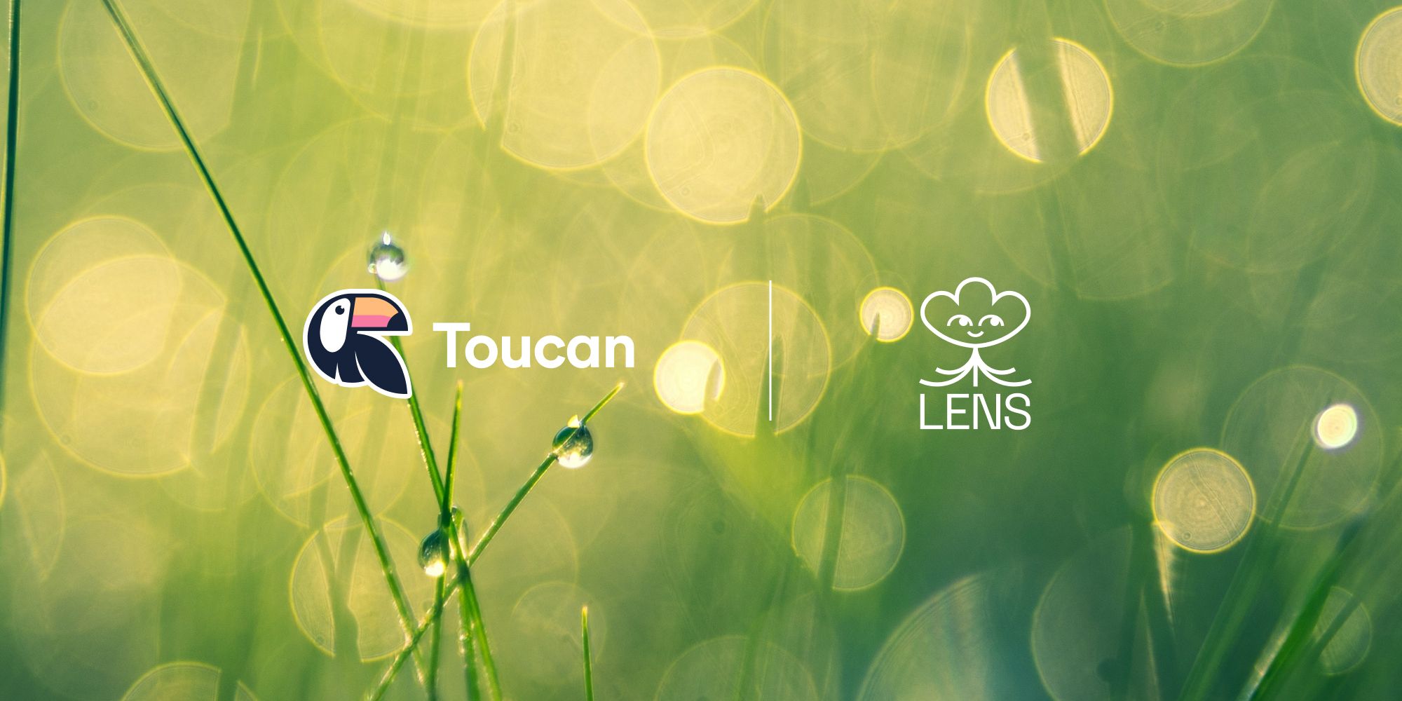 Lens Protocol profile NFT minting