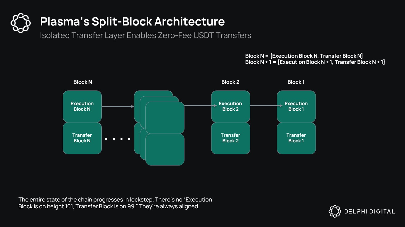 Plasma blockchain USDT zero-fee transfers