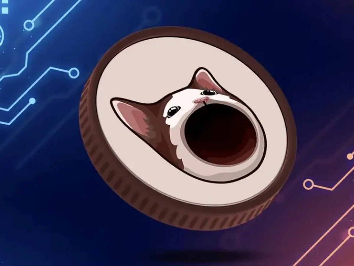 Popcat Solana meme coin cat