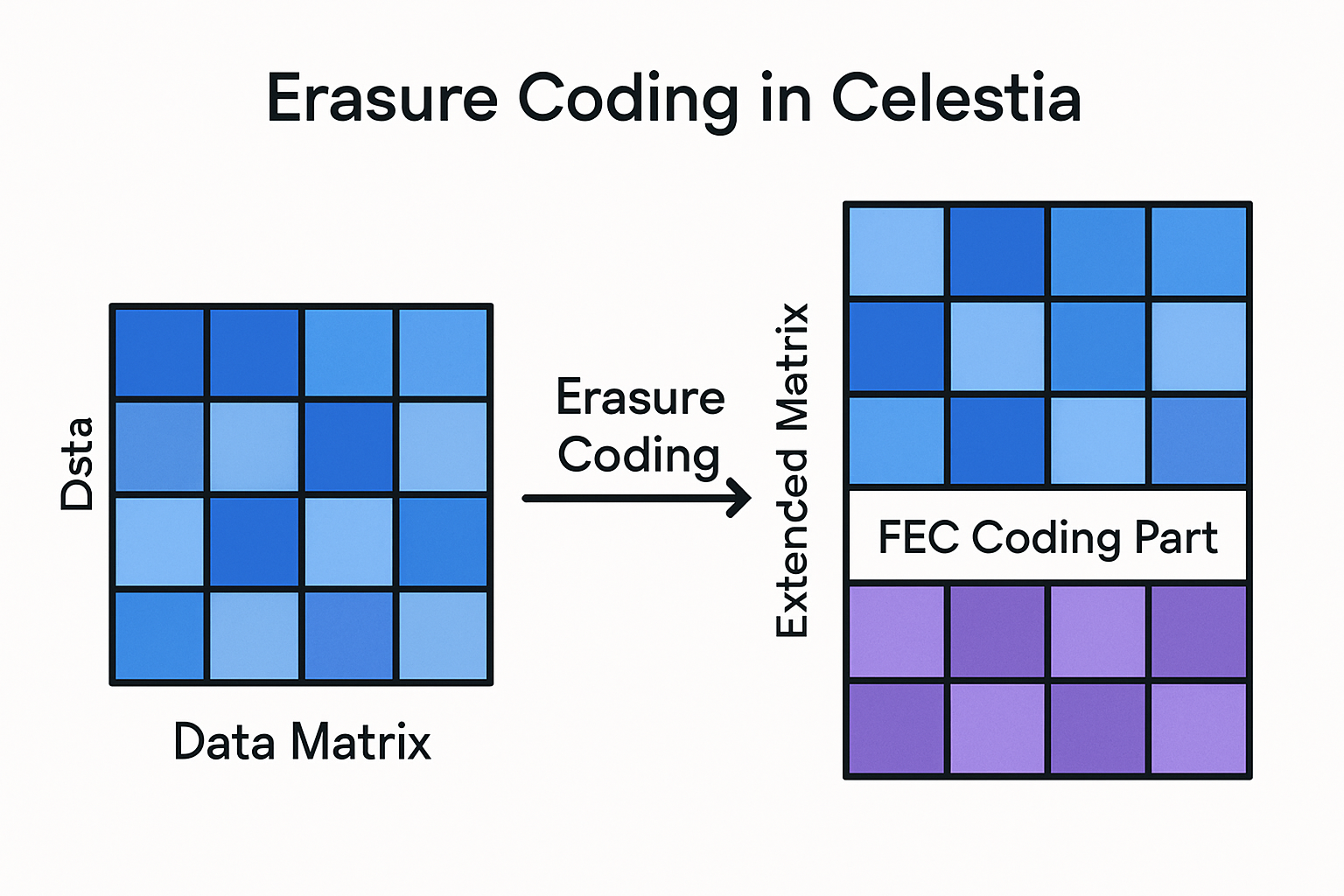 Erasure coding in blockchain Celestia