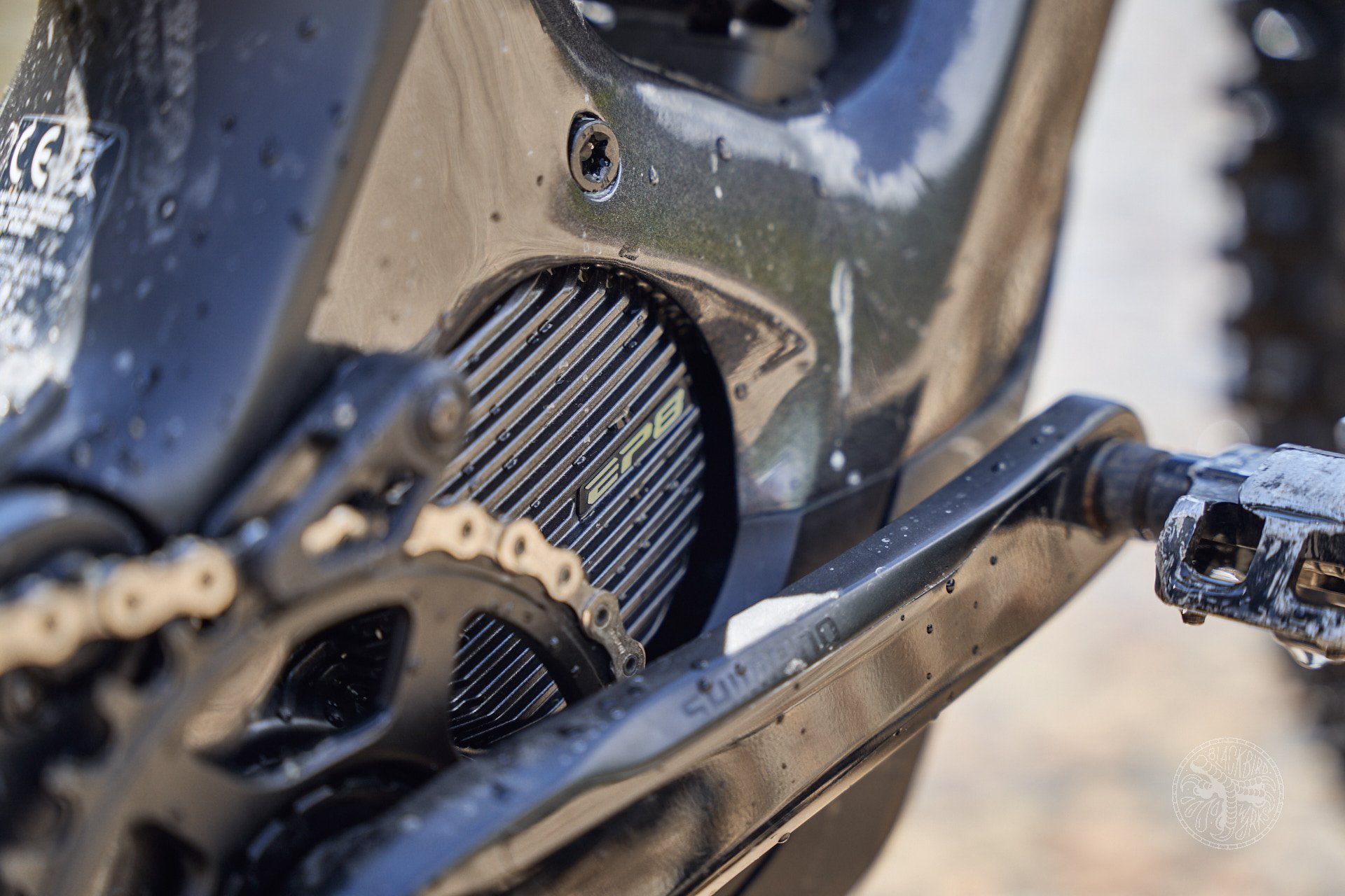 Spectral on-chain credit score interface