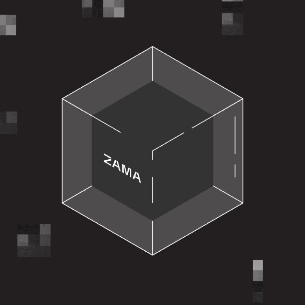 Zama homomorphic encryption DAO voting