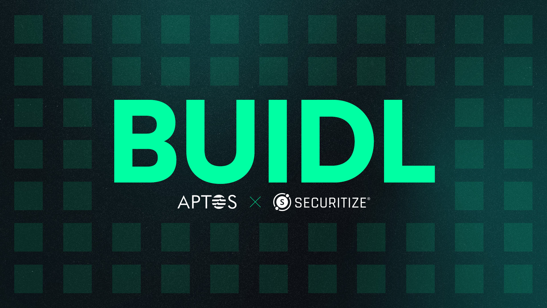 BlackRock BUIDL tokenized asset