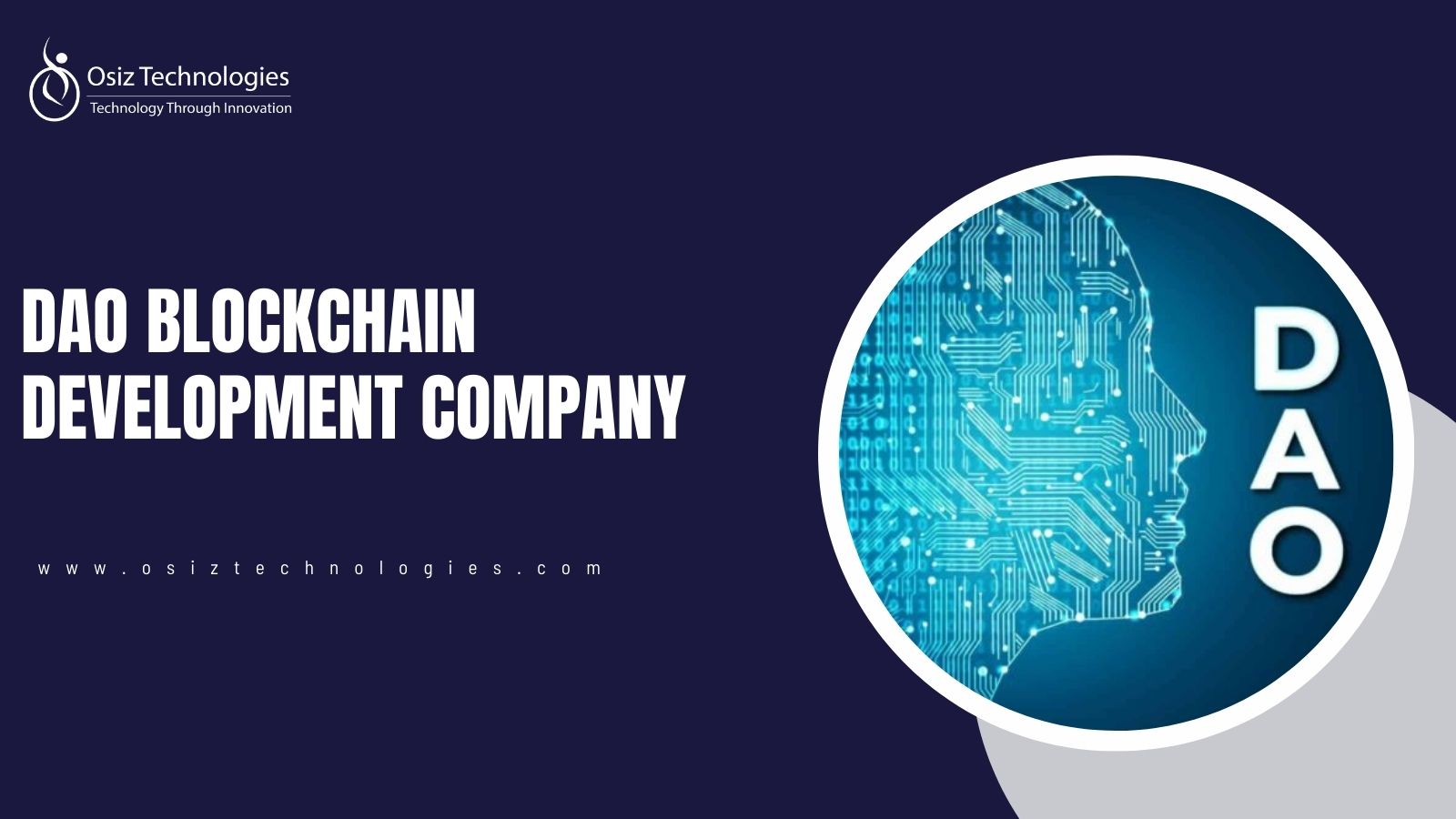 DAO on-chain reserves blockchain explorer