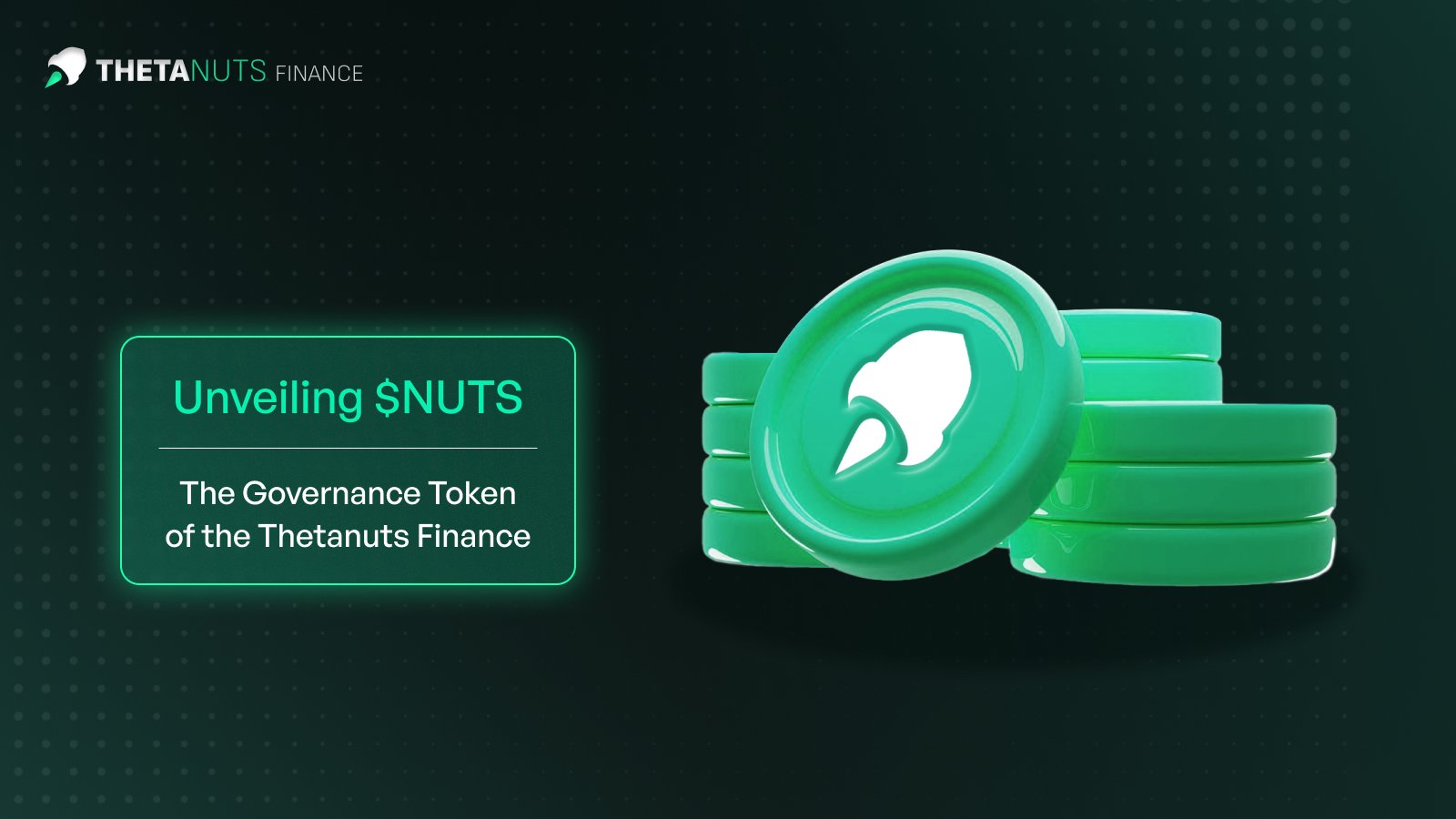 Thetanuts Finance structured vaults interface