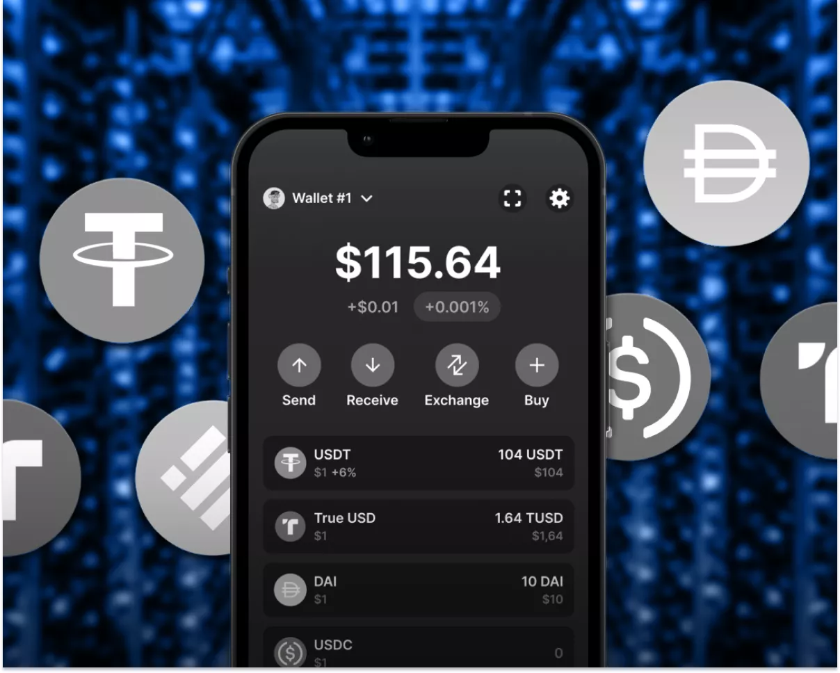 Digital wallet app interface displaying USDC, EURC, and local currency balances, representing neobank and stablecoin integration for instant borderless payments