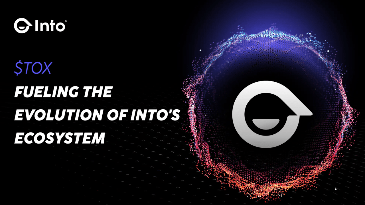 Dynamic Base SocialFi dashboard showing rapid follower growth, profile optimization, community engagement, interactive content, token-gated incentives, and influencer collaborations.