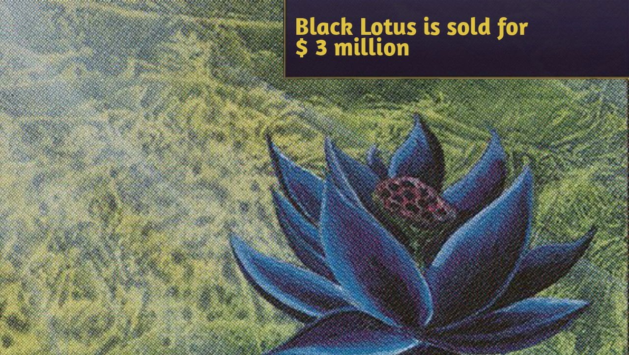 Graded Black Lotus Magic: The Gathering card displayed beside its digital NFT representation, illustrating tokenization of rare MTG cards.